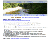 Tablet Screenshot of endaurompin.net